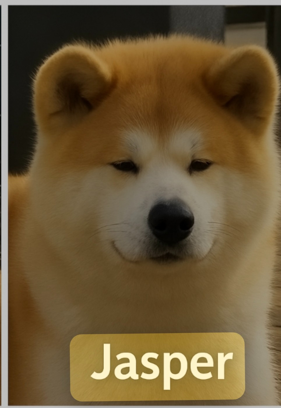 Jasper (Sans Affixe)